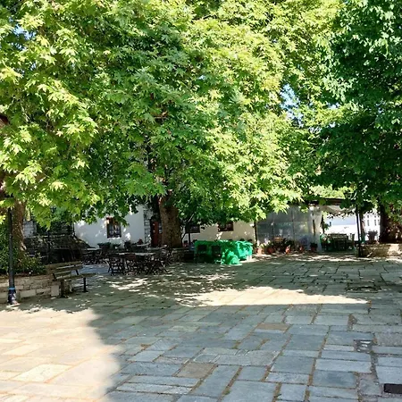 Дом отдыха Zina's In Afetes Afetai