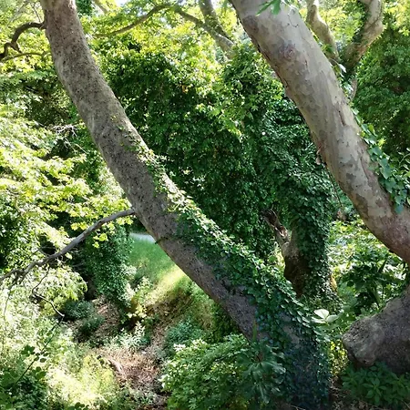 Zina's In Afetes Дом отдыха Afetai