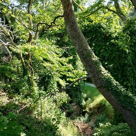 Zina's In Afetes * Afetai