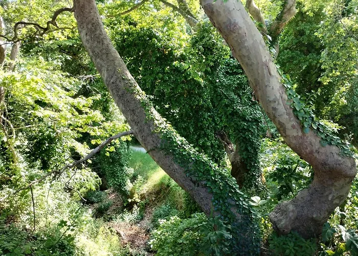 Zina's In Afetes Case de vacanță Afétai