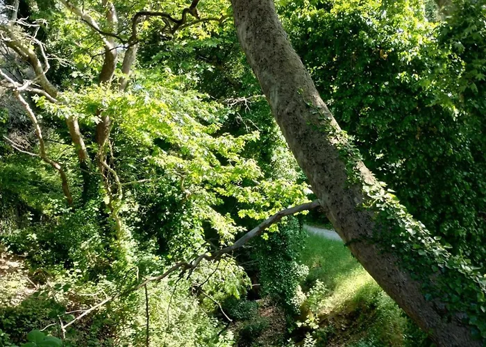 Zina's In Afetes * Afétai