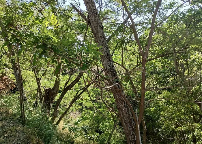 Zina's In Afetes Vakantiehuis Afétai